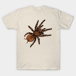 Goliath Bird Eating Spider T-Shirt